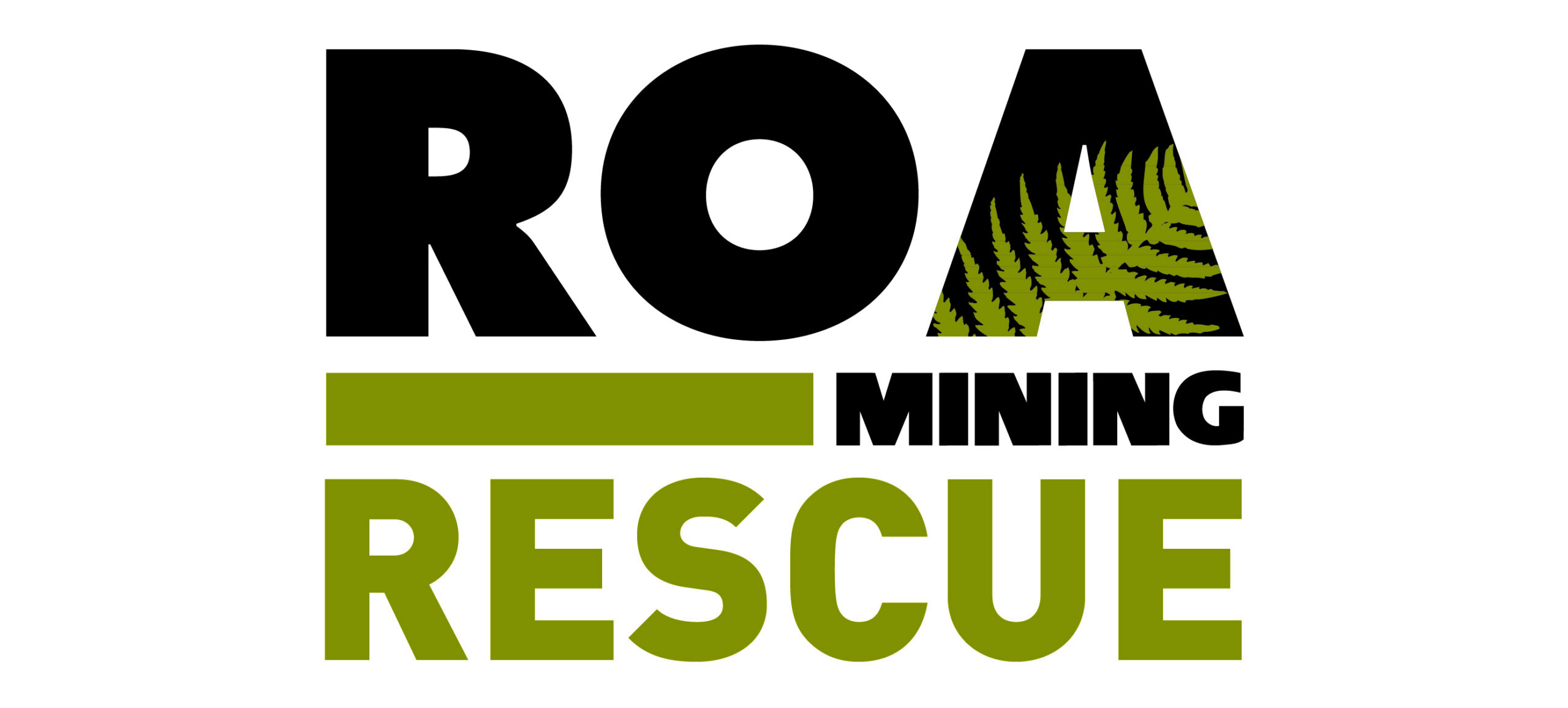 Roa Mining